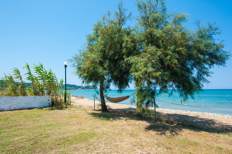 Corfu Sea Palm Residence Roda  Exterior foto